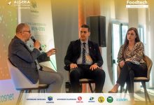 Photo de 4e Algeria Startup Challenge : l’Essaia remporte 2 prix sur les 4 attribués