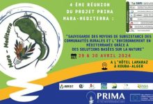 Photo de 4e Atelier de PRIMA MARA-MEDITERRA : les 29 et 30 avril, à l’Hôtel LAMARAZ, Kouba-Alger