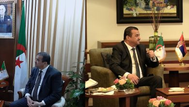 Photo de Renforcement des partenariats énergétiques et miniers : l’Algérie élargit sa coopération avec l’Inde et la Serbie